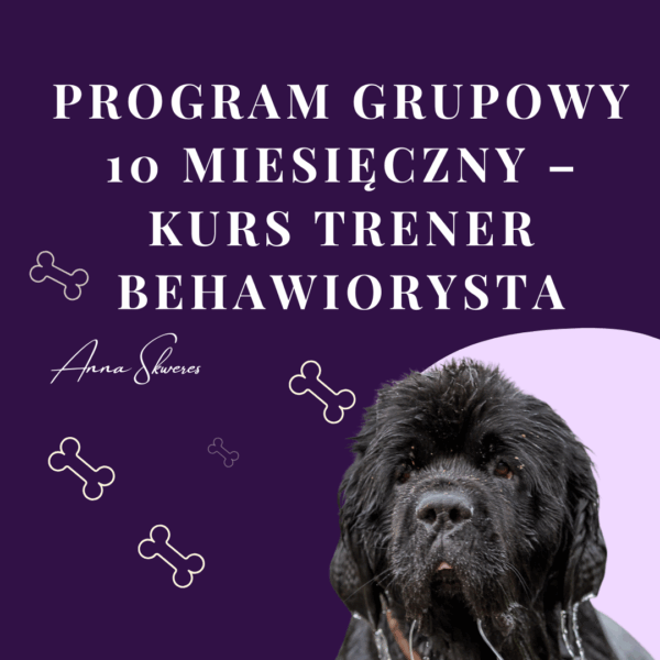 Program grupowy 10 miesięczny – Kurs Trener Behawiorysta (Raty 10 x 1350 zł)