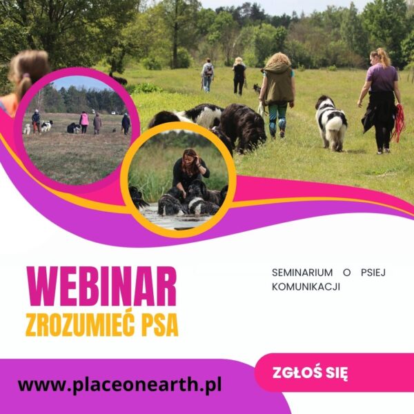 Webinar: Zrozumieć psa- nagranie webinaru