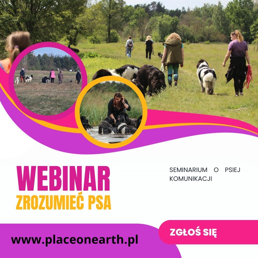 Webinar: Zrozumieć psa- nagranie webinaru