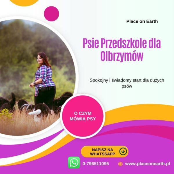Psie Przedszkole dla Olbrzymów