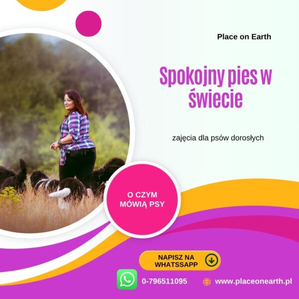 Spokojny Pies w Świecie