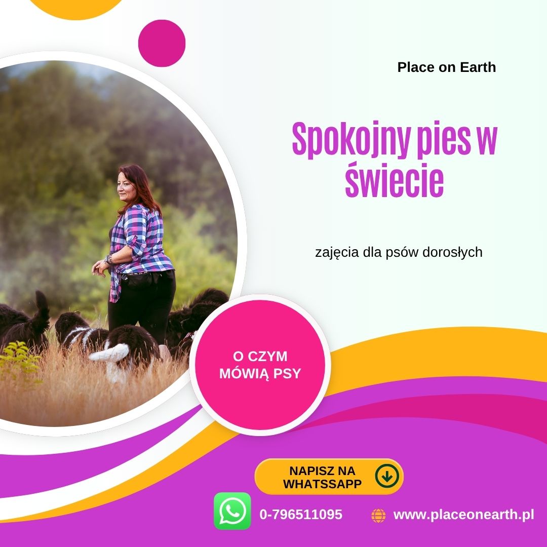 Spokojny Pies w Świecie
