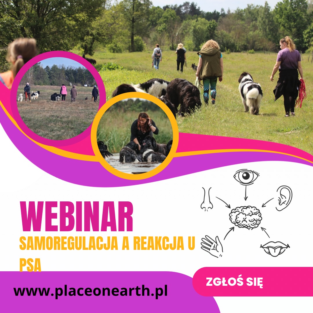 Webinar Samoregulacja a reakcja u psa
